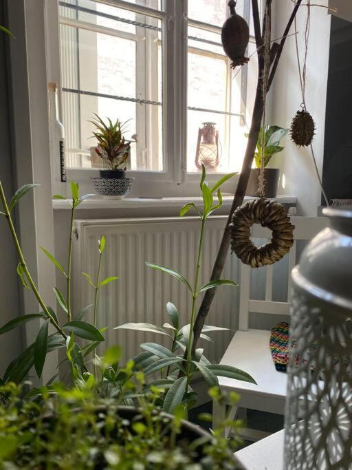 Playground Apartment Cluj Napoca Bagian luar foto